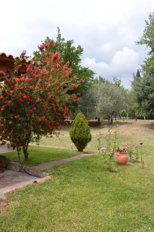 Ermis Hotel Loutra Ipatis Exterior photo